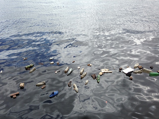 Studiu: Poluarea cu plastic a oceanelor aduce societății daune anuale în valoare de miliarde de dolari