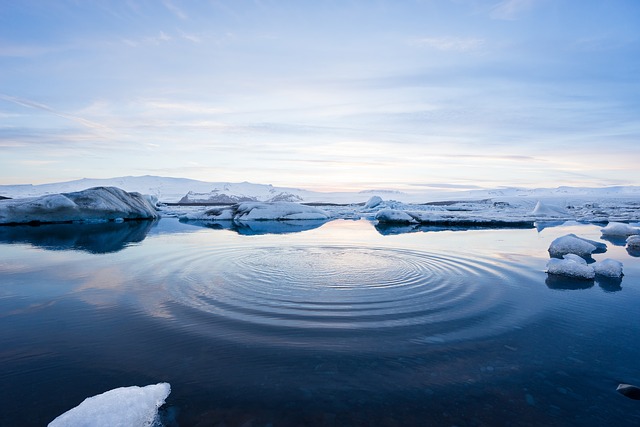 SUA a refuzat să semneze un acord privind problemele din regiunea Arctică