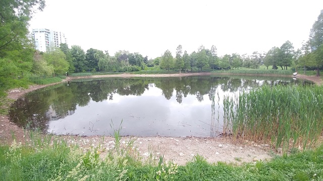 Lacul din Parcul Circului