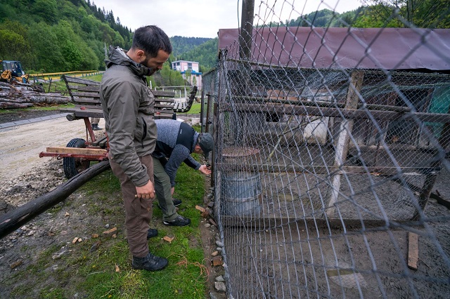 Specialiștii români au fost instruiți pentru intervenție rapidă în gestionarea conflictelor om-animale sălbatice