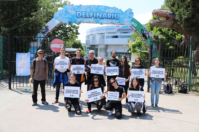 Protest pașnic împotriva extinderii delfinariului din Constanța