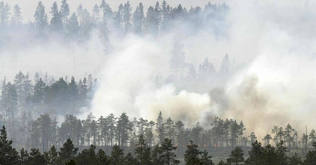 Emisiile de la incendiile de vegetație din zona Arctică, echivalente cu emisiile anuale ale Suediei
