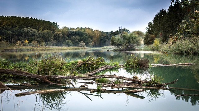 WWF: Rezervaţia biosferei Mura-Drava-Dunăre, nominalizată pe lista UNESCO a ariilor protejate