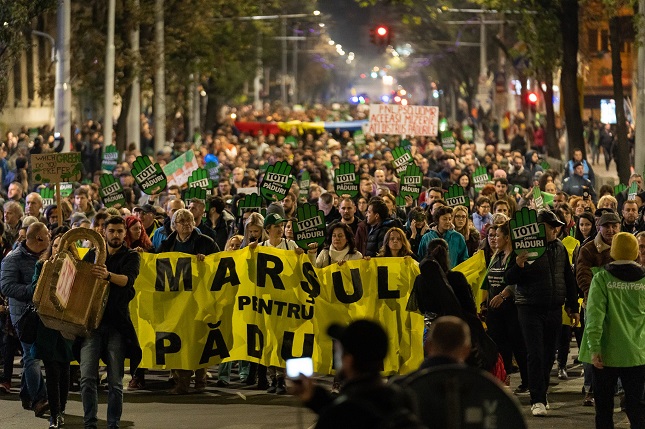 Mii de români au ieșit în stradă pentru a cere protejarea pădurilor
