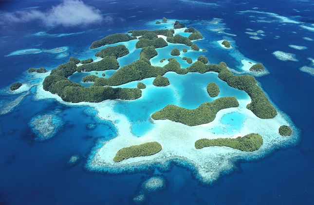 Palau, prima țară care a interzis cremele de soare care dăunează coralilor