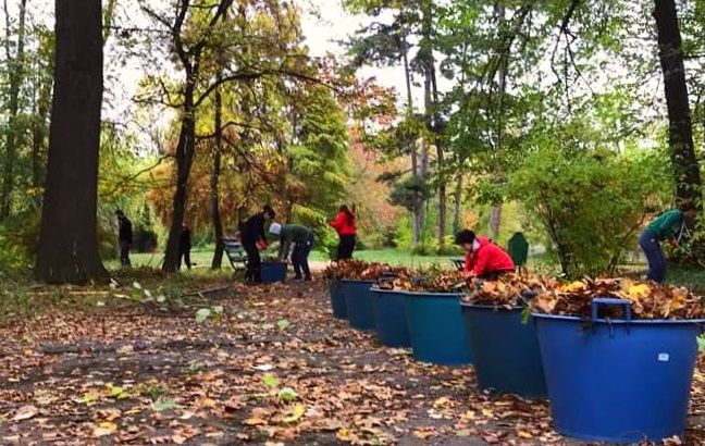 Voluntariat. Începe Curățenia de Primăvară 2020 în Grădina Botanică din București
