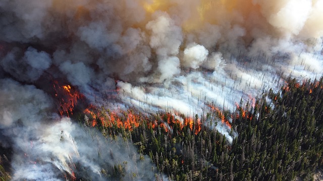 Incendiile din acest an din Siberia au eliberat în atomesferă 700 de tone de CO2 pe minut