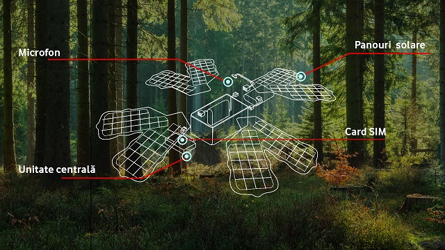 Premieră în România. Prima pădure smart, supravegheată cu inteligență artificială