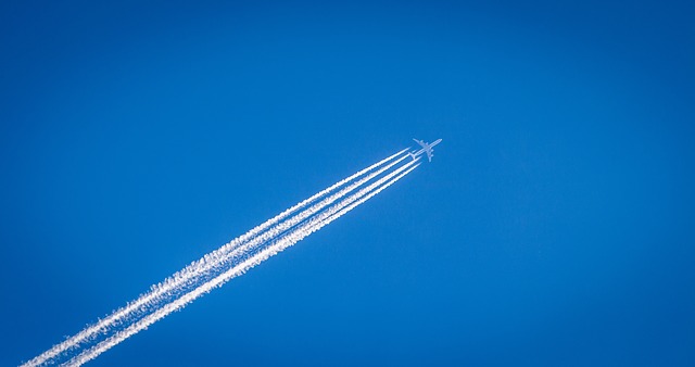 Companiile aeriene low-cost solicită UE să utilizeze combustibili eco și la zborurile pe distanțe lungi