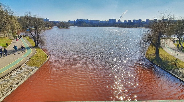 Apele Române transmit că lacul IOR este colorat din cauza unei alge roșii