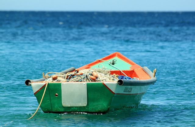 Iohannis cere reexaminarea legii în domeniul pescuitului şi acvaculturii
