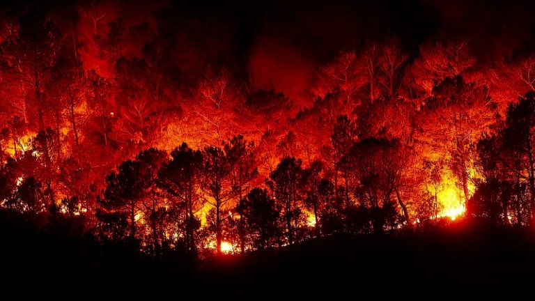 Incendiul de pădure din Siberia ar putea deveni cel mai mare din istorie