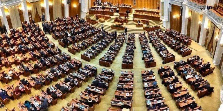 Deputații vor să permită intervenția asupra urșilor în extravilan. „Te trezeai cu un urs cu un picior în intravilan și altul în extravilan”