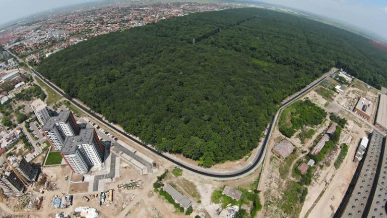Pădurea Verde din Timișoara devine cel mai mare parc din România