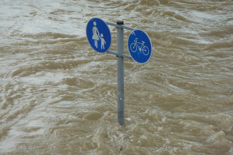 Google extinde prognoza globală a inundațiilor, inclusiv în România