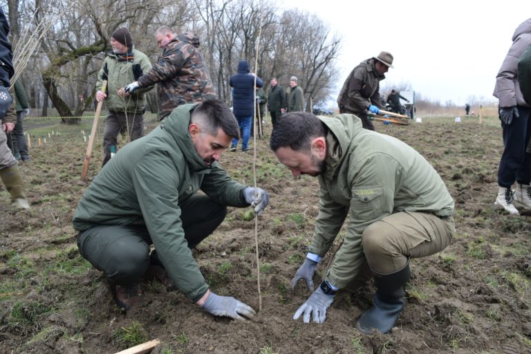 Ministerul Mediului începe campania de împădurire. Romsilva va planta 26 milioane de puieți și va regenera 12.087 hectare