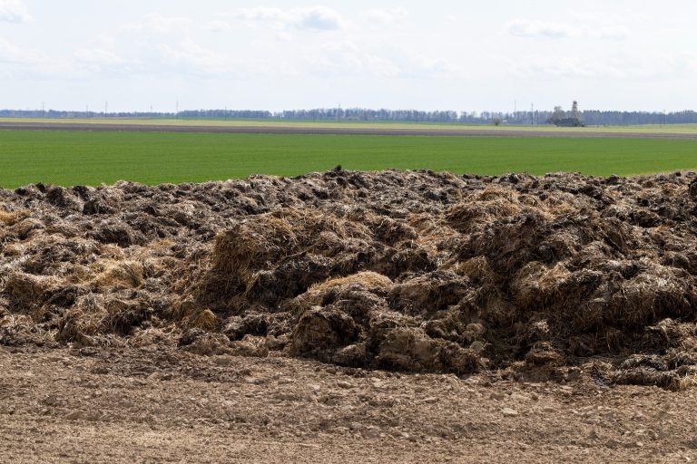 Ministerul Mediului lansează Ghidul de finanțare pentru sprijinirea investițiilor în deșeuri agricole