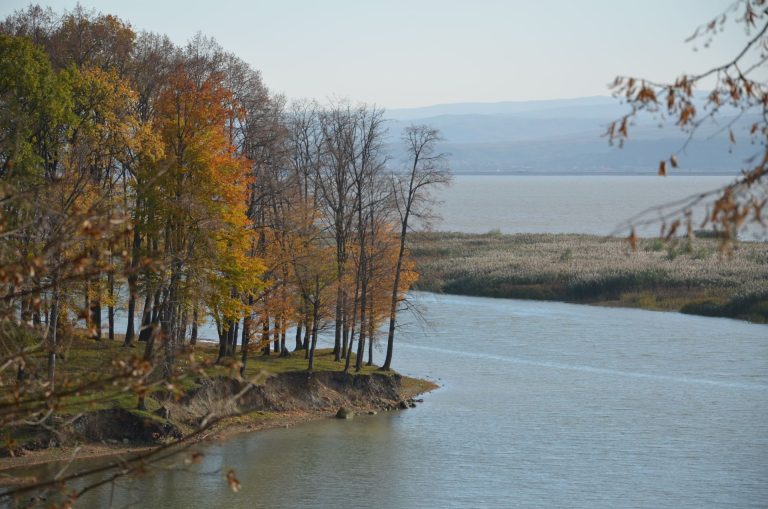 Ministerul Mediului a interzis pescuitul în două lacuri din județul Bacău aflate în situri Natura 2000
