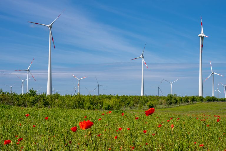 Ministerul Mediului a emis acordurile de mediu pentru patru parcuri eoliene din județul Caraș Severin