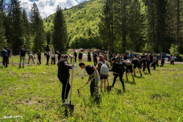 Primăriile și școlile din Bihor au programat 39 de acțiuni de igienizare