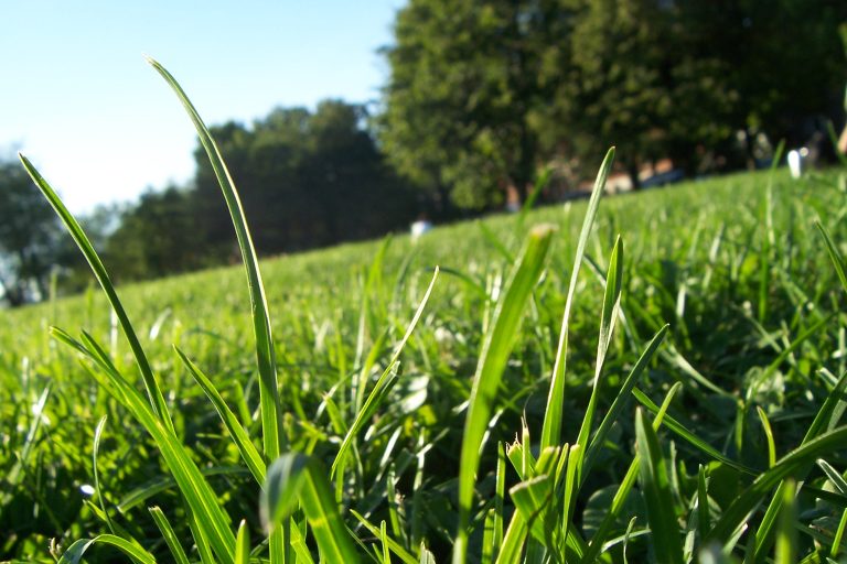 (Foto reprezentativă: Vara în oraș, 26 august 2008, © florecita viajera)