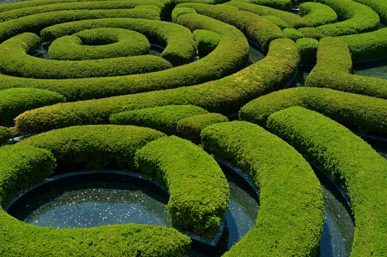 (Foto reprezentativă: Serpentine, 10 august 2013 ©Michael Perkins)