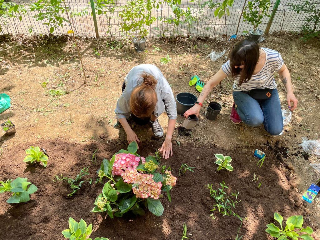 Imagine: Foto: Fundația Comunitară București