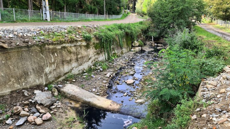 Imagine: Poluarea pârâului Șolea de la un cazan de țuică, cu câteva zeci de metri înainte de vărsarea în râul Vâlsan. Imagine realizată lângă biserica de la Brăduleț, la câteva sute de metri de primărie, 21 august 2022. Foto: Fundația Alex Găvan