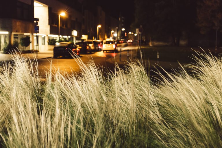 FOTO: Natura urbana (original), 23 Ocrombrie 2015, de Greg_FOT / Flickr,