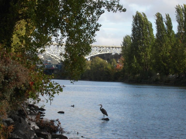 (Foto reprezentativă: Peisaje urbane, 28 ianuarie 2007, © Tom Herriman)