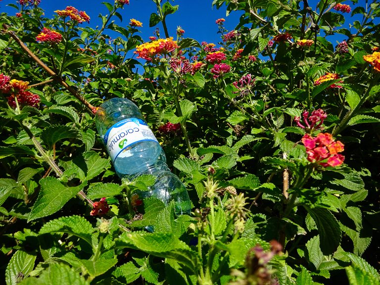 (Foto reprezentativă: Val de căldură și plastic, 16 august 2024, © Mafalda2001)