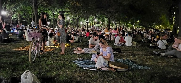 Foto: Picnic sub clar de lună, 17 august, parcul Cișmigiu, București, Nefiresc