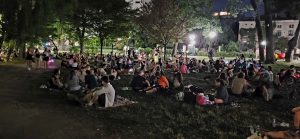 Foto: Picnic nocturn, 17 august, parcul Cișmigiu, București, Green Report