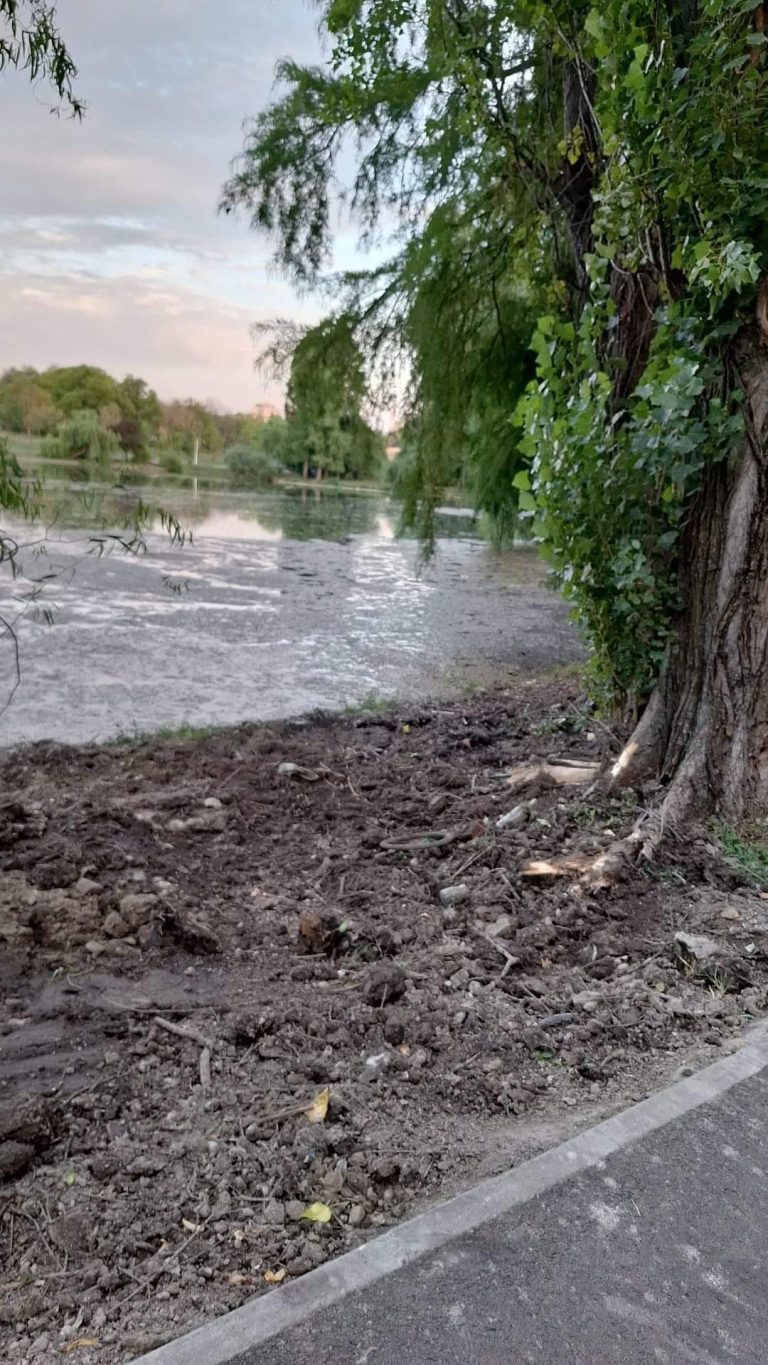 Foto: Malul lacului Tineretului, 22 august 2024, Acțiunea Comunitară Tineretului
