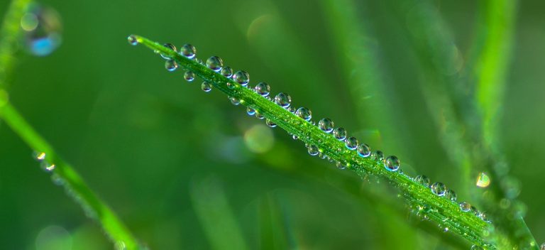 Foto reprezentativă: Aliniere, 25 octombrie 2014, ©George Bryan Jr