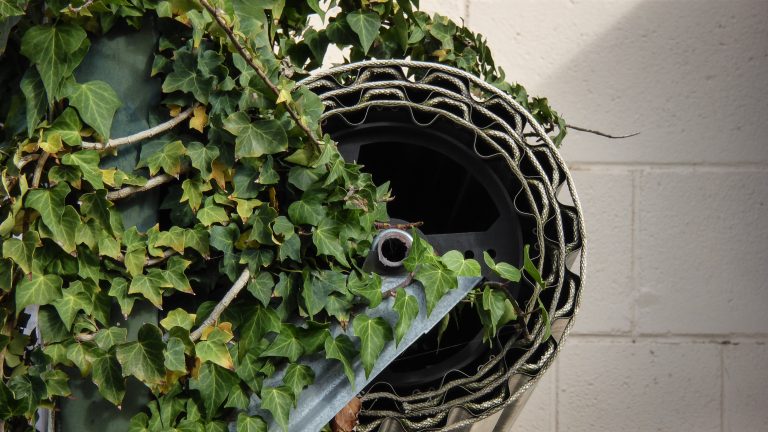 Foto reprezentativă: Rolă de iederă, 11 august 2016, ©Theen Moy