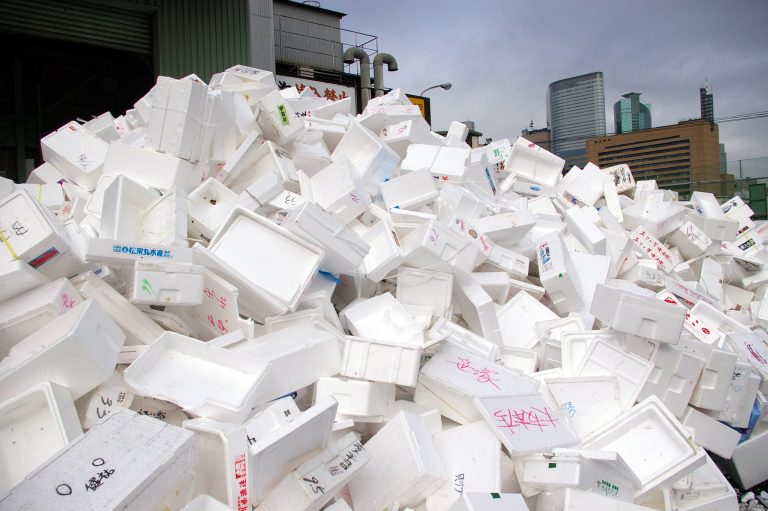 Foto: Piața de pește Tsukiji din Tokyo, în spate, iunie 2008. Sursa Styrofoam Mountain | Flickr