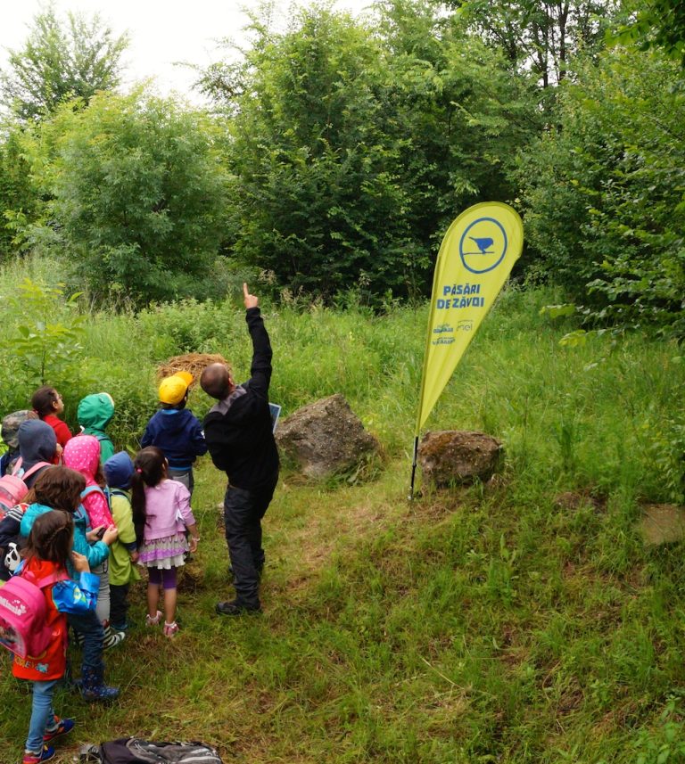 Imagine: Asociația Parcul Natural Văcărești organizează lecții practice, în natură, pentru elevi. Sursa: Facebook/Asociația Parcul Natural Văcărești