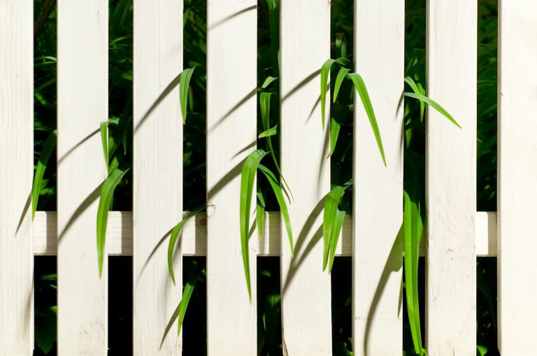 Foto reprezentativă: Simplitate, 1 mai 2009, ©Namelas Frade