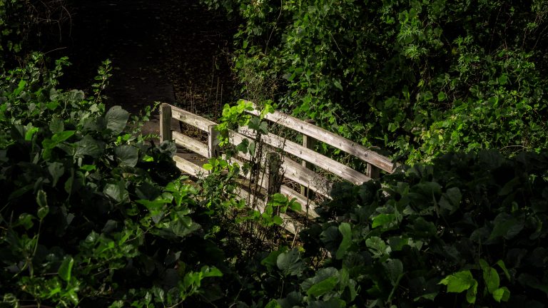 (Foto reprezentativă: Pod pietonal, 6 noiembrie 2021, ©Thomas Cizauskas)