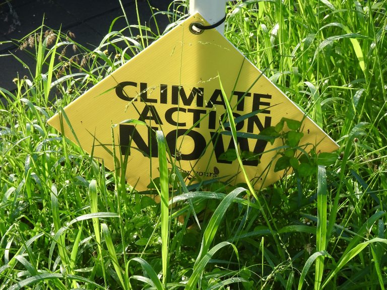 (Foto reprezentativă: Acțiune climatică, 24 mai 2022, ©Sccart)