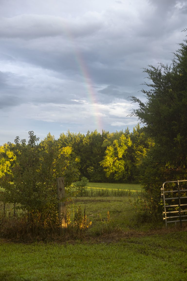 Imagine: Curcubeu la fermă. Martie 2023, Alabama. Sursă: Flickr/Alabama Extension