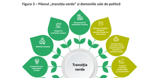 Imagine: Pilonul „tranziția verde” și domeniile sale de politică. Sursă: Curtea Europeană de Conturi