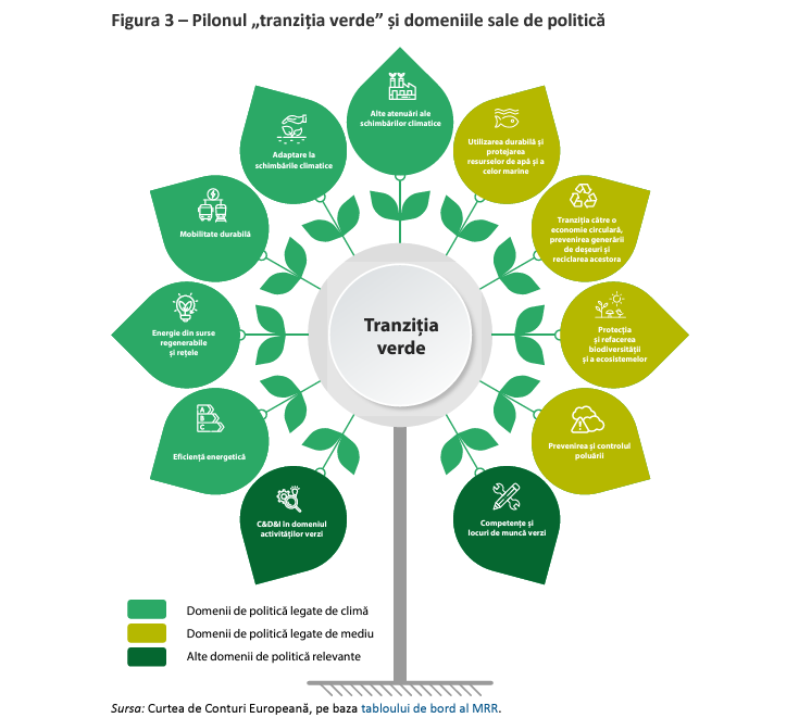 Imagine: Pilonul „tranziția verde” și domeniile sale de politică. Sursă: Curtea Europeană de Conturi