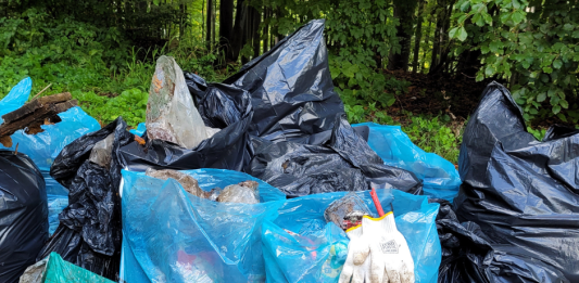 Foto: Reciclarea deșeurilor aruncate în natură. Sursa: WWF