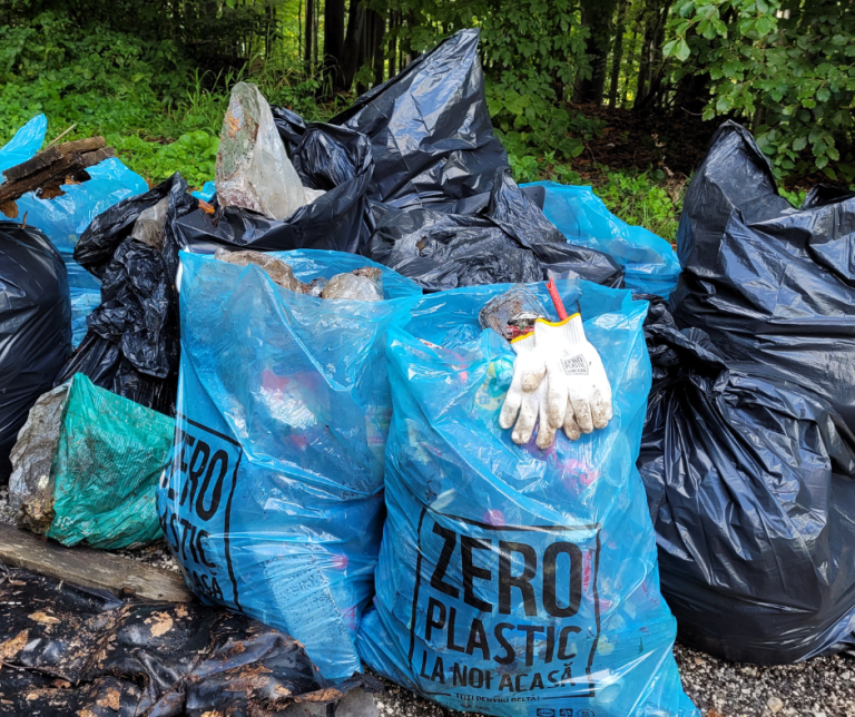 Foto: Reciclarea deșeurilor aruncate în natură. Sursa: WWF