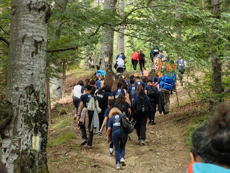 Foto reprezentativă: Drumeție, Ecoprovocare, Viitor Plus