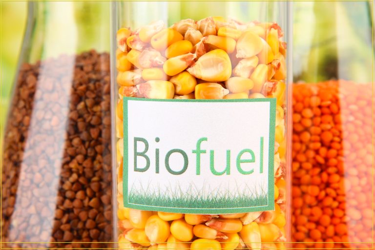 Foto reprezentativă: Biocombustibil, 25 iulie 2014, ©elblogdelaenergia
