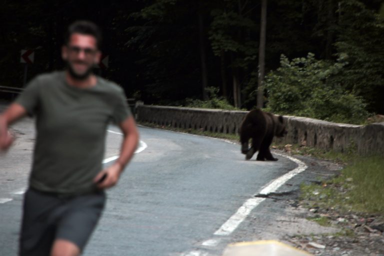 Foto reprezentativă: Sumarul vieții, 22 iunie 2019, ©Maurizio Erbetta