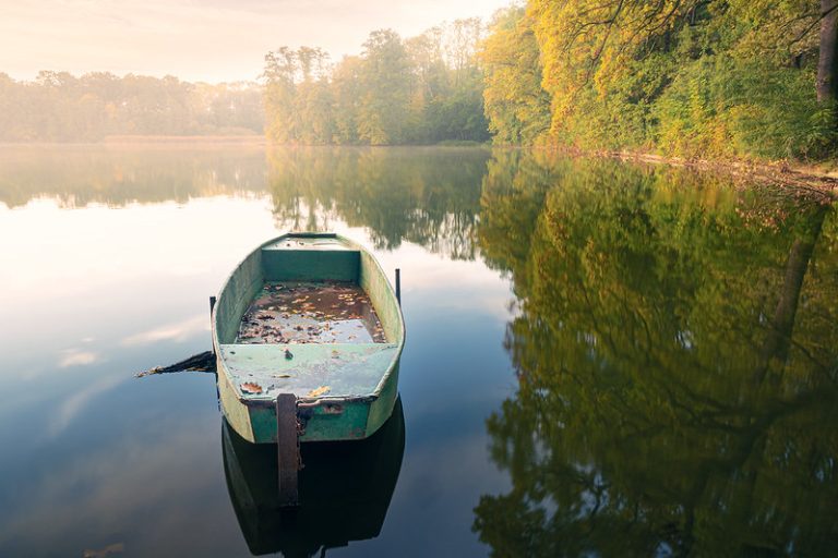 Foto: O barca, 9 decembrie 2021. Sursa: Ted Moravec | Flickr